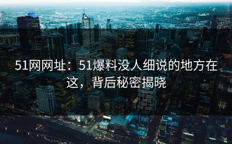 51网网址：51爆料没人细说的地方在这，背后秘密揭晓