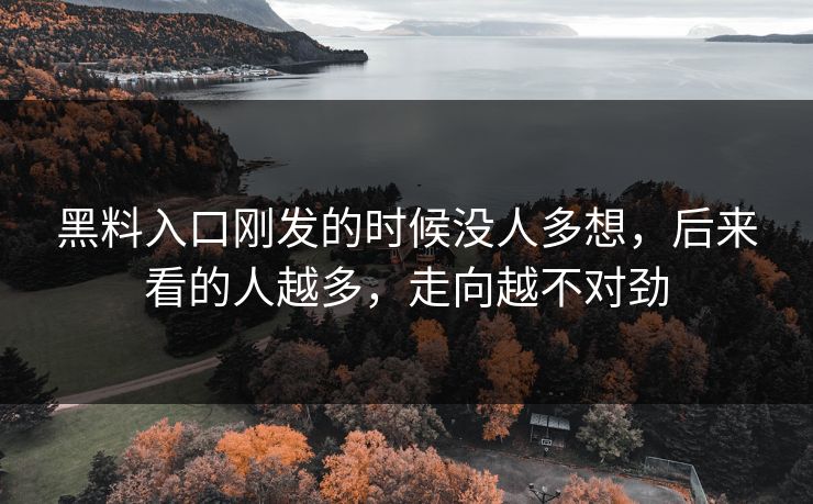 黑料入口刚发的时候没人多想,后来看的人越多,走向越不对劲 黑料入口刚发的时候没人多想,后来看的人越多,走向越不对劲