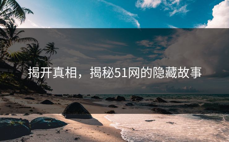 揭开真相,揭秘51网的隐藏故事 揭开真相,揭秘51网的隐藏故事